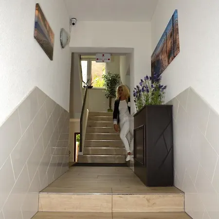 Zur Seerobbe Hotel 3*