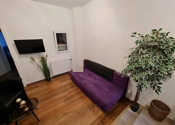 Отель Zur Seerobbe 3*