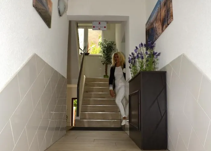 Zur Seerobbe Отель 3*